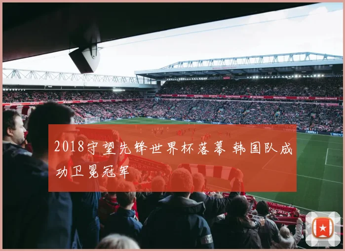 2018守望先锋世界杯落幕 韩国队成功卫冕冠军