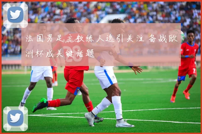 法国男足主教练人选引关注 备战欧洲杯成关键话题