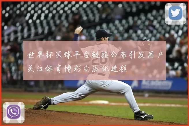 世界杯买球平台链接公布引发用户关注体育博彩合法化进程