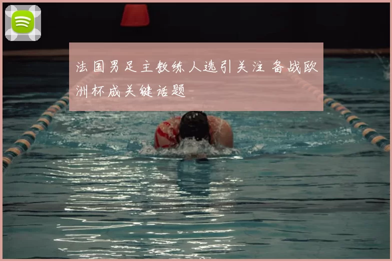 法国男足主教练人选引关注 备战欧洲杯成关键话题